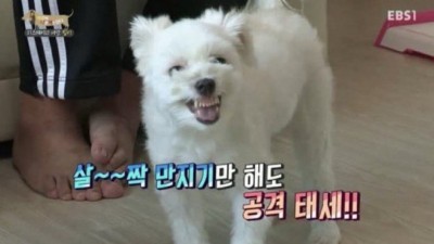 만지기만 해도 공격태새