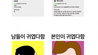 ㅅㅌㅊ ㅎㅌㅊ 돔