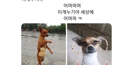 어머 이게 누구야 ㅋㅋ