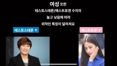 여성의 호르몬