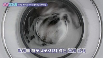 빨아도 사라지지 않는 걸레냄새